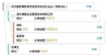 解析武漢靡思碧格商務(wù)信息咨詢合伙企業(yè) 有限合伙模式下的專業(yè)咨詢服務(wù)